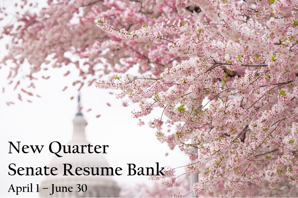 Spring image for the Senate Resume Bank quarter 2