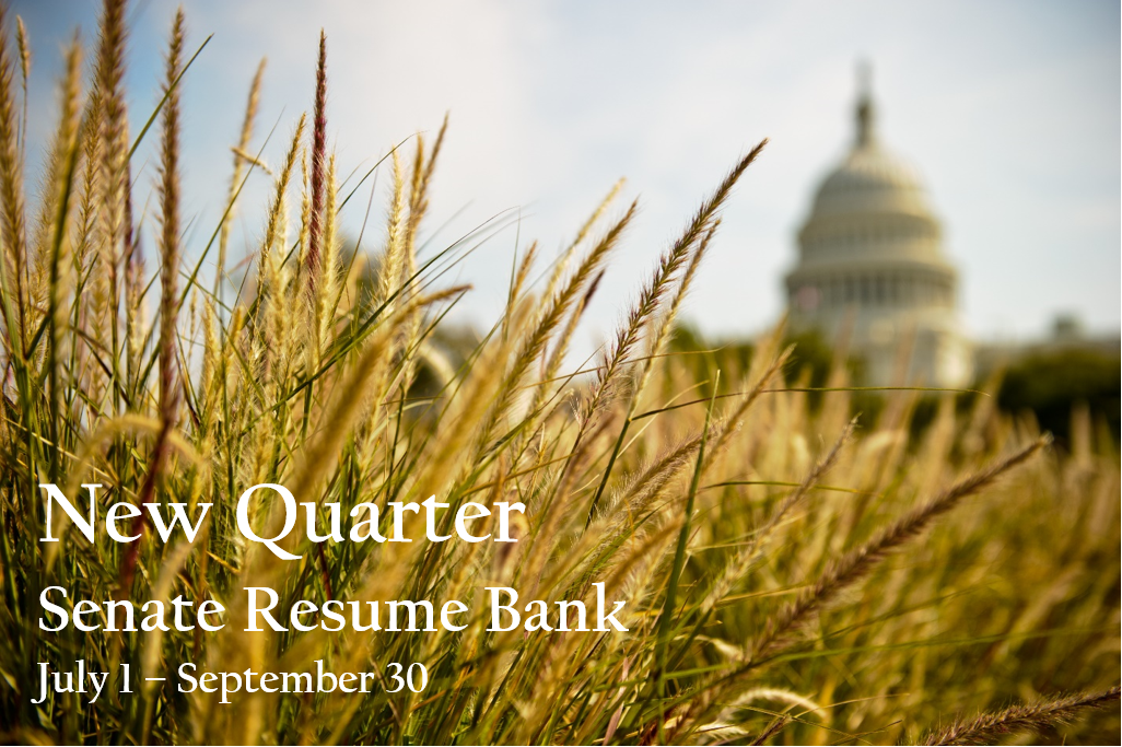 Fall image of the Senate Resume Bank. Quarter 3