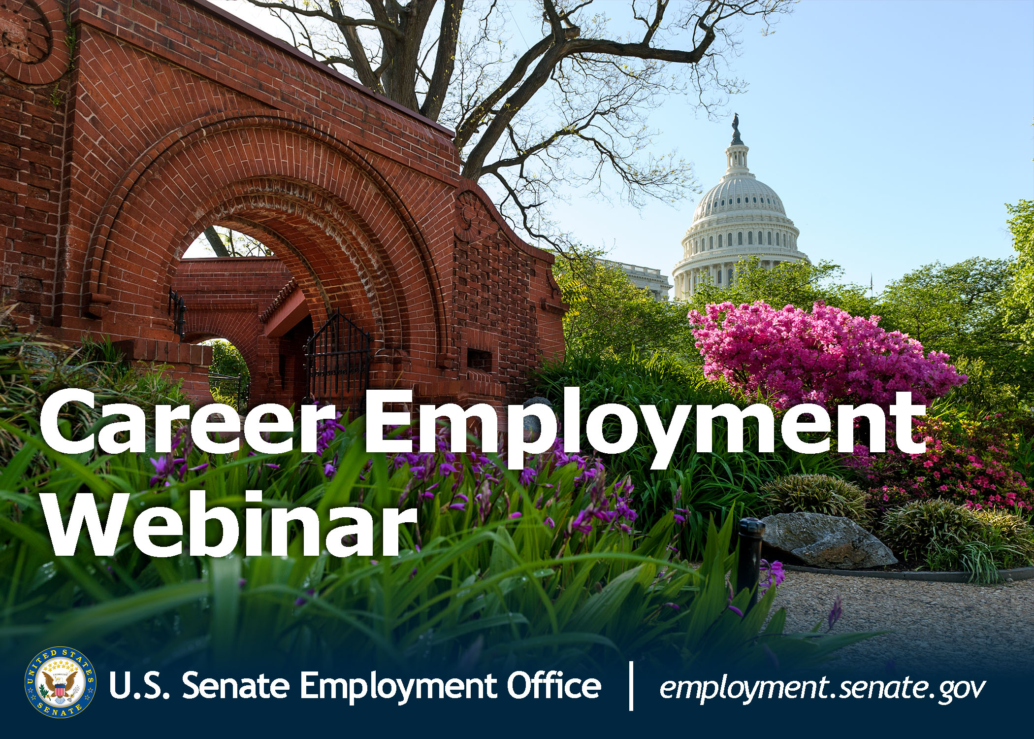A garden in front of the US Capitol with the words "Career Employment Webinar" in front.