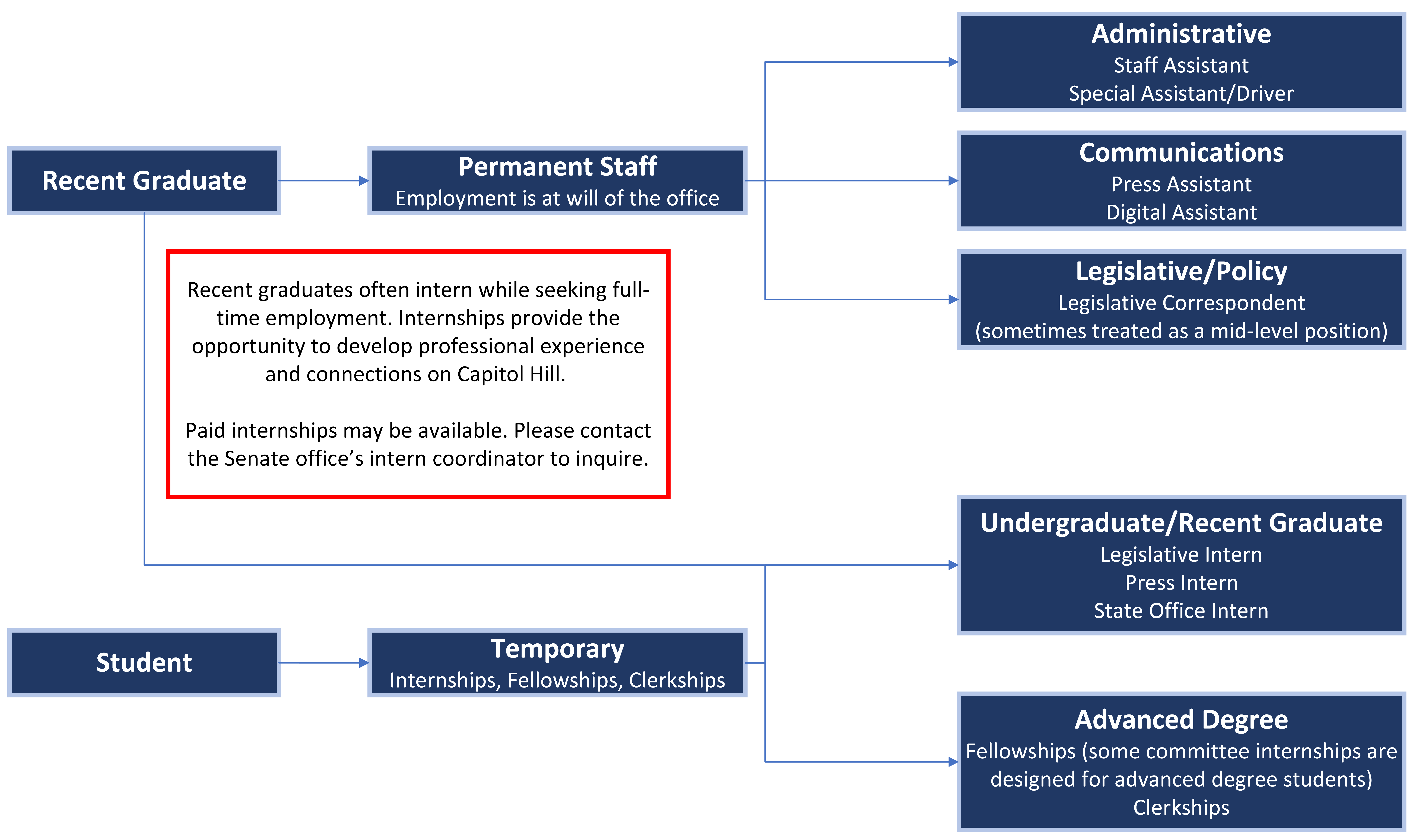 Organization chart showing typical options for early career job seekers.